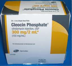 cleocin 300 mg