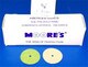 Moores Abrasive Pin Hole Discs Paper 5/8-in Sand Fine -100- PH-58-SF